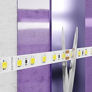 Светодиодная лента Maytoni Led Strip 10149 24В-2