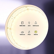 Светодиодная лента Maytoni Led Strip 20031 24В-1