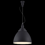 Подвесной светильник Maytoni Bellevue P535PL-01B цвет черный-3