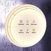 Светодиодная лента Maytoni Led Strip 10157 24В-1