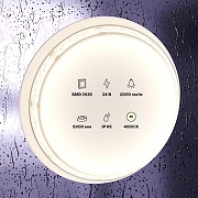 Светодиодная лента Maytoni Led Strip 10158 24В-1