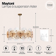 Подвесной светильник Maytoni Aster MOD007PL-10G цвет латунь-6