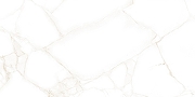 Керамическая плитка AltaCera Артдеко белый / Artdeco White WT9ARE00 Глянцевая 25х50 см-1