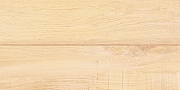Керамическая плитка AltaCera Бриоле Вуд / Briole Wood WT9BRE11 Глянцевая 24,9х50 см-1