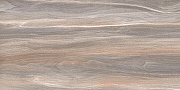 Керамическая плитка AltaCera Эсприт Вуд / Esprit Wood WT9ESR21 Глянцевая 25х50 см-1