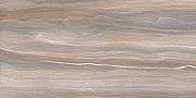 Керамическая плитка AltaCera Эсприт Вуд / Esprit Wood WT9ESR21 Глянцевая 25х50 см-2