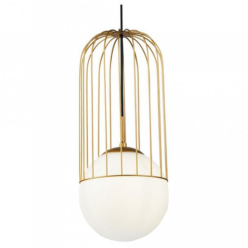 Подвесной светильник Maytoni Telford P363PL-01G 