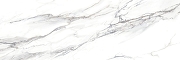 Керамическая плитка Delacora  Аликанте Статуарио / Alicante Statuario WT15ALC00R Глянцевая 24,6х74 см-1