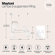 Подвесной светильник Maytoni R1ng MOD013PL-04W цвет плафона/подвески Белый, цвет арматуры Белый-3
