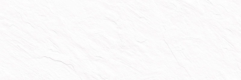 Керамическая плитка Delacora  Леон белый / Leon White WT15LEN00R Матовая 