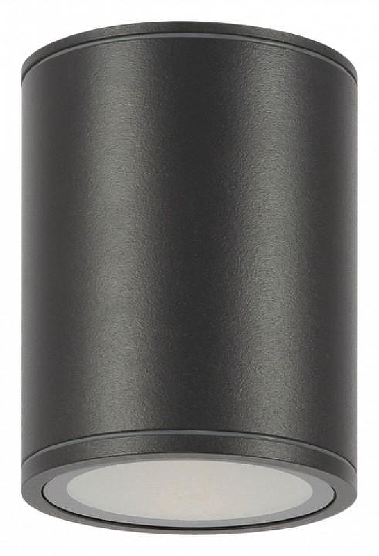 Потолочный светильник Maytoni Outdoor Bar O306CL-L12GF 