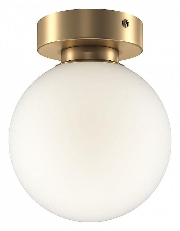 Настенный светильник Maytoni Bas1c form MOD321WL-01G1 