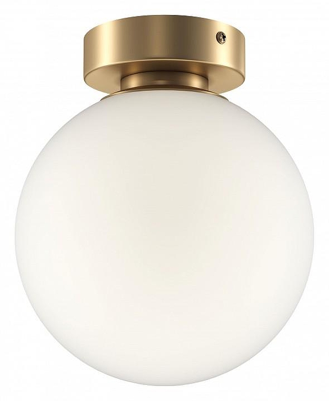 Настенно-потолочный светильник Maytoni Bas1c form MOD321WL-01G2 