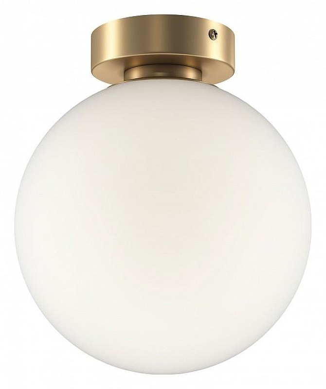 Настенно-потолочный светильник Maytoni Bas1c form MOD321WL-01G3 