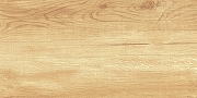 Керамическая плитка AltaCera Парадайс Вуд / Paradise Wood WT9OAS31 Глянцевая 25х50 см