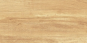 Керамическая плитка AltaCera Парадайс Вуд / Paradise Wood WT9OAS31 Глянцевая 25х50 см-1