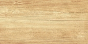 Керамическая плитка AltaCera Парадайс Вуд / Paradise Wood WT9OAS31 Глянцевая 25х50 см-2