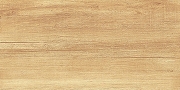Керамическая плитка AltaCera Парадайс Вуд / Paradise Wood WT9OAS31 Глянцевая 25х50 см-3