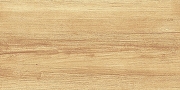 Керамическая плитка AltaCera Парадайс Вуд / Paradise Wood WT9OAS31 Глянцевая 25х50 см-4