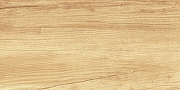 Керамическая плитка AltaCera Парадайс Вуд / Paradise Wood WT9OAS31 Глянцевая 25х50 см-7