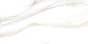 Керамическая плитка Alma Ceramica Корсика / Corsica TWU09CRS004 Глянцевая 24,9х50 см-2