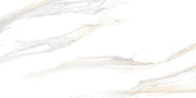 Керамическая плитка Alma Ceramica Корсика / Corsica TWU09CRS004 Глянцевая 24,9х50 см-5