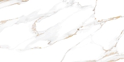 Керамическая плитка Alma Ceramica Дакота / Dakota TWU09DKT004 Глянцевая 24,9х50 см-3