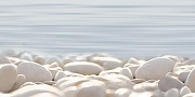 Декор Alma Ceramica Дель Мар / Del Mare DWU09DLM604 Глянцевый 24,9х50 см-1