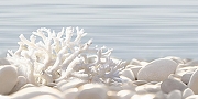 Декор Alma Ceramica Дель Мар / Del Mare DWU09DLM624 Глянцевый 24,9х50 см-1