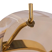 Настенный светильник Divinare Chloe 7566/01 AP-1 цвет плафона/подвески Коньячный, цвет арматуры Золото-3