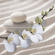 Панно Alma Ceramica Релакс / Relax PWU09RLX1 Глянцевый 49,8х50 см