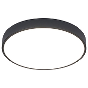 Потолочный светильник Artelamp Arena A2661PL-1BK цвет плафона/подвески Прозрачный, цвет арматуры Черный-1