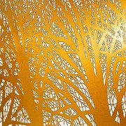 Подвесной светильник Artelamp Celesta A2769SP-1BK цвет черный-8