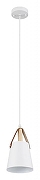 Подвесной светильник Artelamp Thomas A7032SP-1WH цвет белый-1