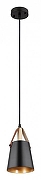 Подвесной светильник Artelamp Thomas A7032SP-1BK цвет черный-1