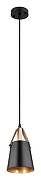Подвесной светильник Artelamp Thomas A7032SP-1BK цвет черный-7