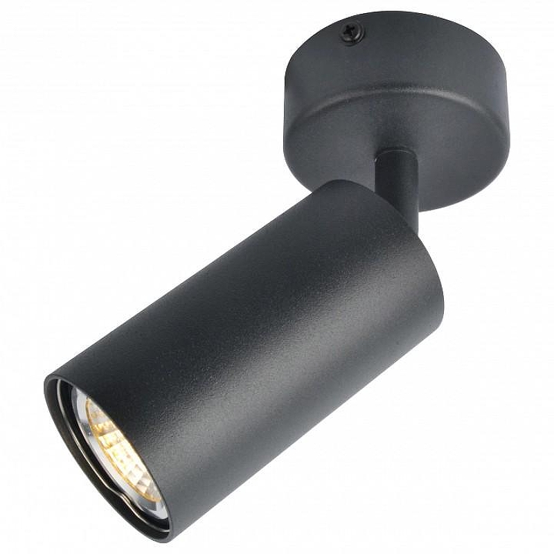 Потолочный светильник Artelamp Aquar1us A3216PL-1BK 