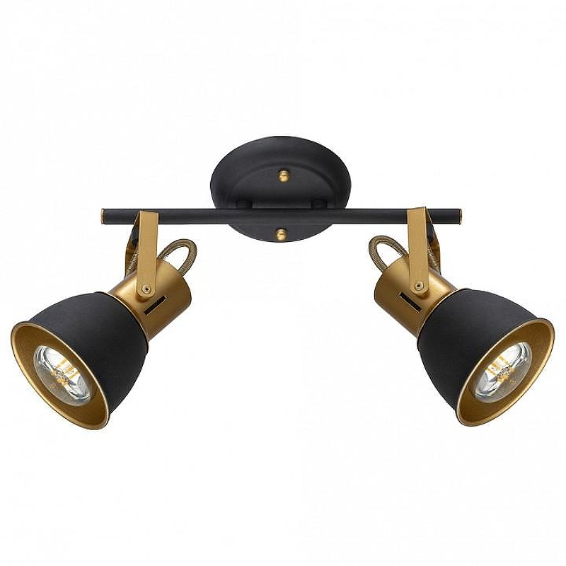 Потолочный светильник Artelamp Jov1 A1677PL-2GO 