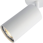 Потолочный светильник Artelamp Aquar1us A3216PL-1WH цвет плафона/подвески Белый, цвет арматуры Белый-1