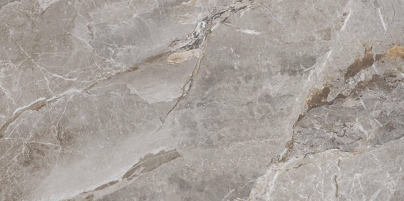 Керамогранит Primavera Essence Grey Polished PR209 