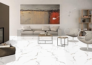 Керамогранит Primavera Kalos Bianco Polished PR124 60x60 см-4