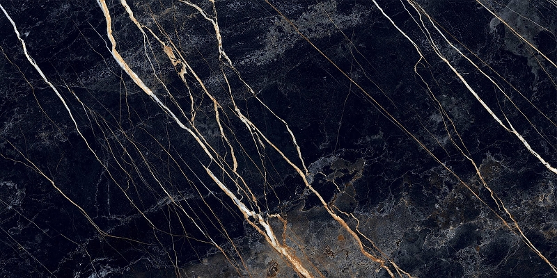 Керамогранит Primavera Namibia Black Polished PR211 