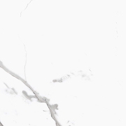 Керамогранит Primavera Salvatore Polished PR107 60x60 см-1