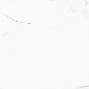 Керамогранит Primavera Salvatore Polished PR107 60x60 см-2