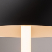 Настольная лампа Maytoni Ray Z012TL-L8B3K цвет плафона/подвески Черный, цвет арматуры Черный-3