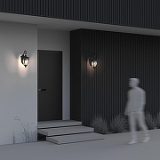 Настенные светильники Maytoni Fleur O414WL-01BZ цвет плафона/подвески Прозрачный, цвет арматуры Бронза-6