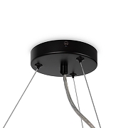 Подвесной светильник Maytoni Dallas MOD545PL-25B цвет плафона/подвески Светло-серый, цвет арматуры Черный-4