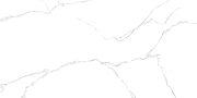 Керамическая плитка AltaCera Элементо Каррара белый / Elemento Bianco Carrara WT9ELT00 Глянцевая 25х50 см-4