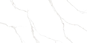 Керамическая плитка AltaCera Элементо Каррара белый / Elemento Bianco Carrara WT9ELT00 Глянцевая 25х50 см-5