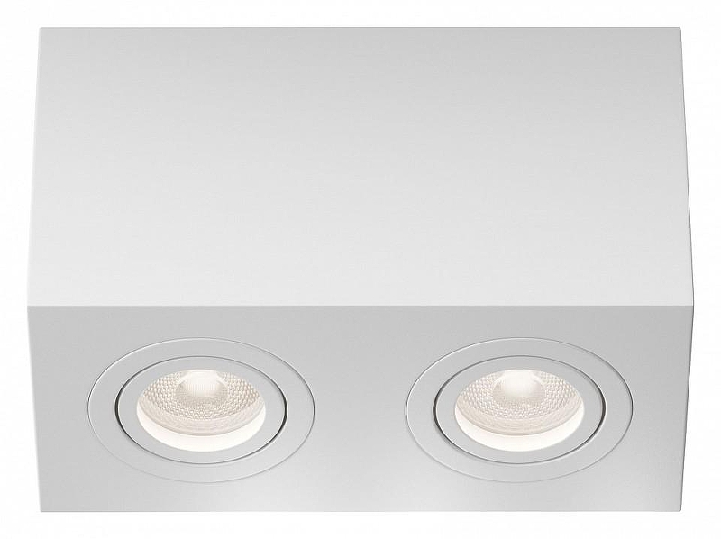 Потолочный светильник Maytoni Ceiling & Wall Atom C017CL-02W 